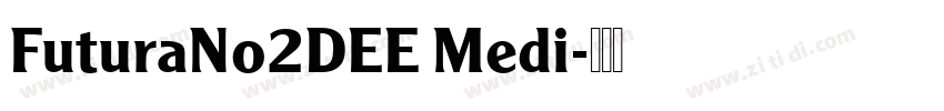 FuturaNo2DEE Medi字体转换